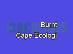                                                               Burnt Cape Ecologi