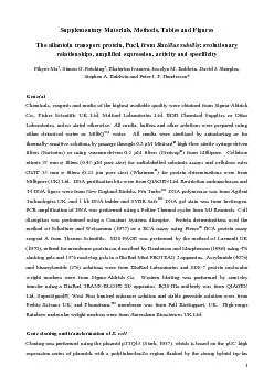 PDF-) tag at the C-terminal end of the protein (Ward