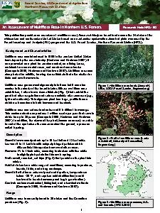 An Assessment of Multiflora Rose in Northern U.S. Forests