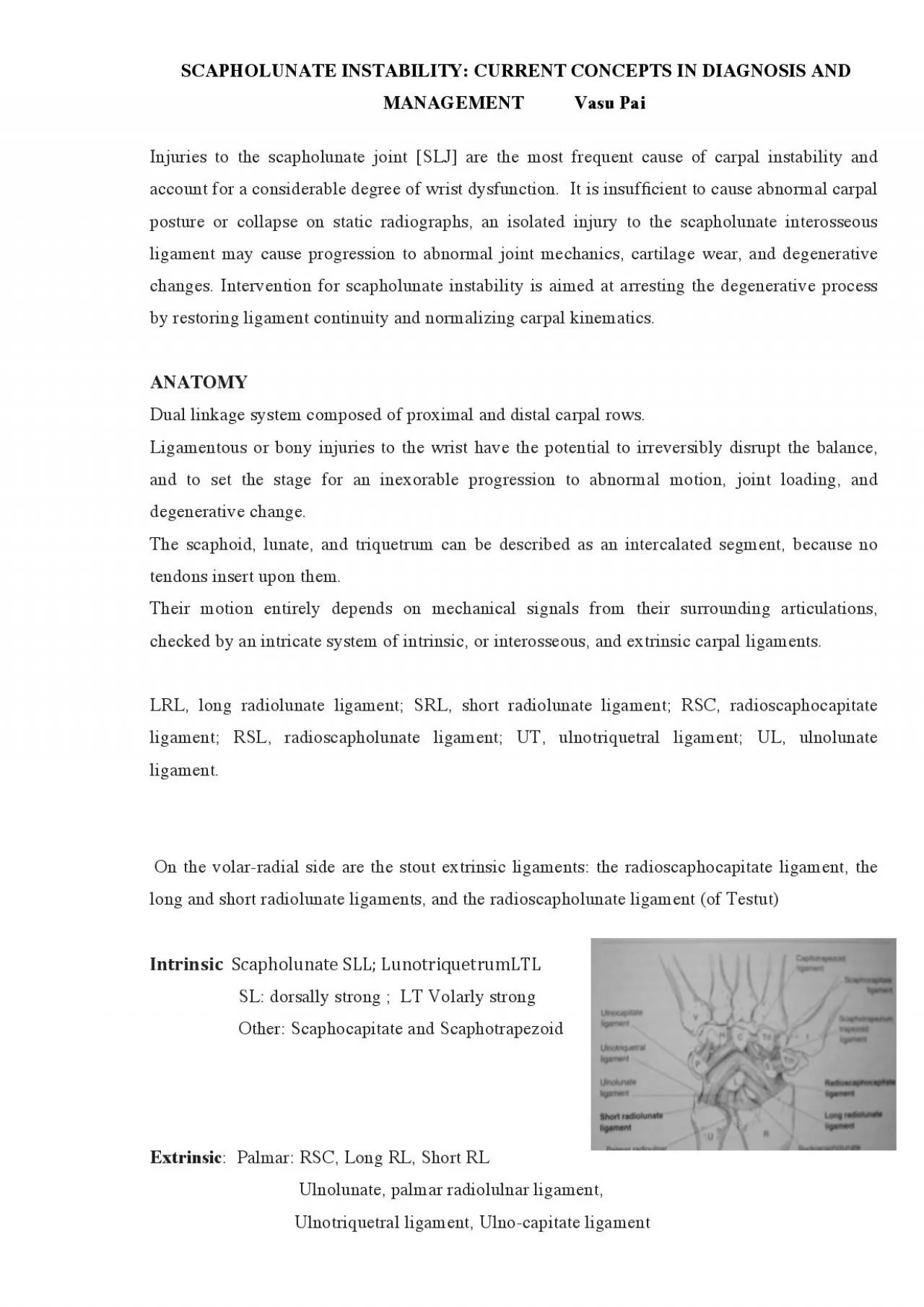 PDF-Dorsal intercarpal !Radioscapolunate liga