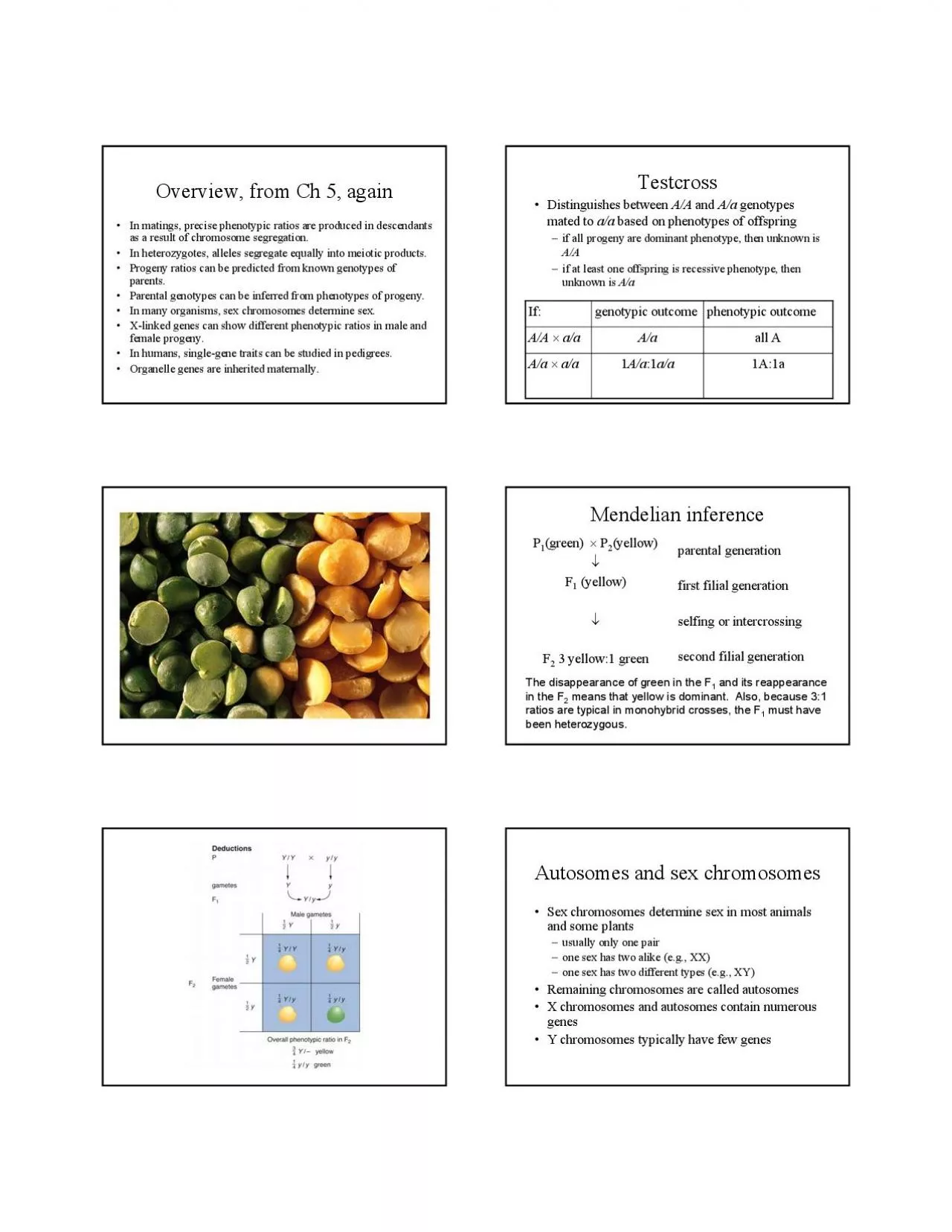 PDF-Overview, from Ch 5, again