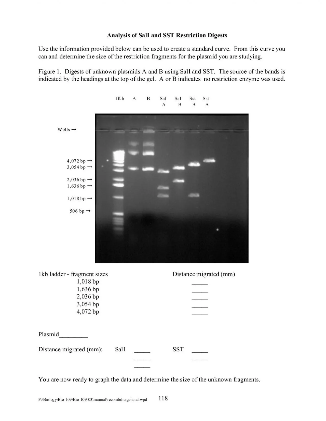 PDF-P:\Biology\Bio 109\Bio 109-03\manual\recombdnagelanal.wpd