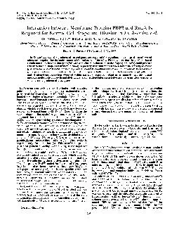 PDF-Vol.167,No.3InteractionbetweenMembraneProteinsPBP3andRodAIsRequiredfor