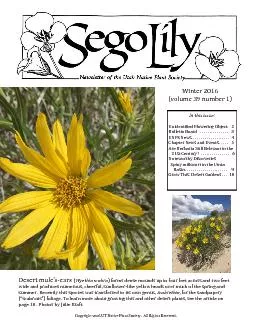 Copyright 2016 UT Native Plant Society.  All Rights Reserved.