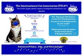 The International Cat Association (TICA®) The world’s largest ge