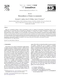 BiosynthesisofhemeinmammalsRichardS.Ajioka,JohnD.Phillips,JamesP.Kushn