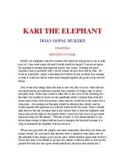 KARI THE ELEPHANT