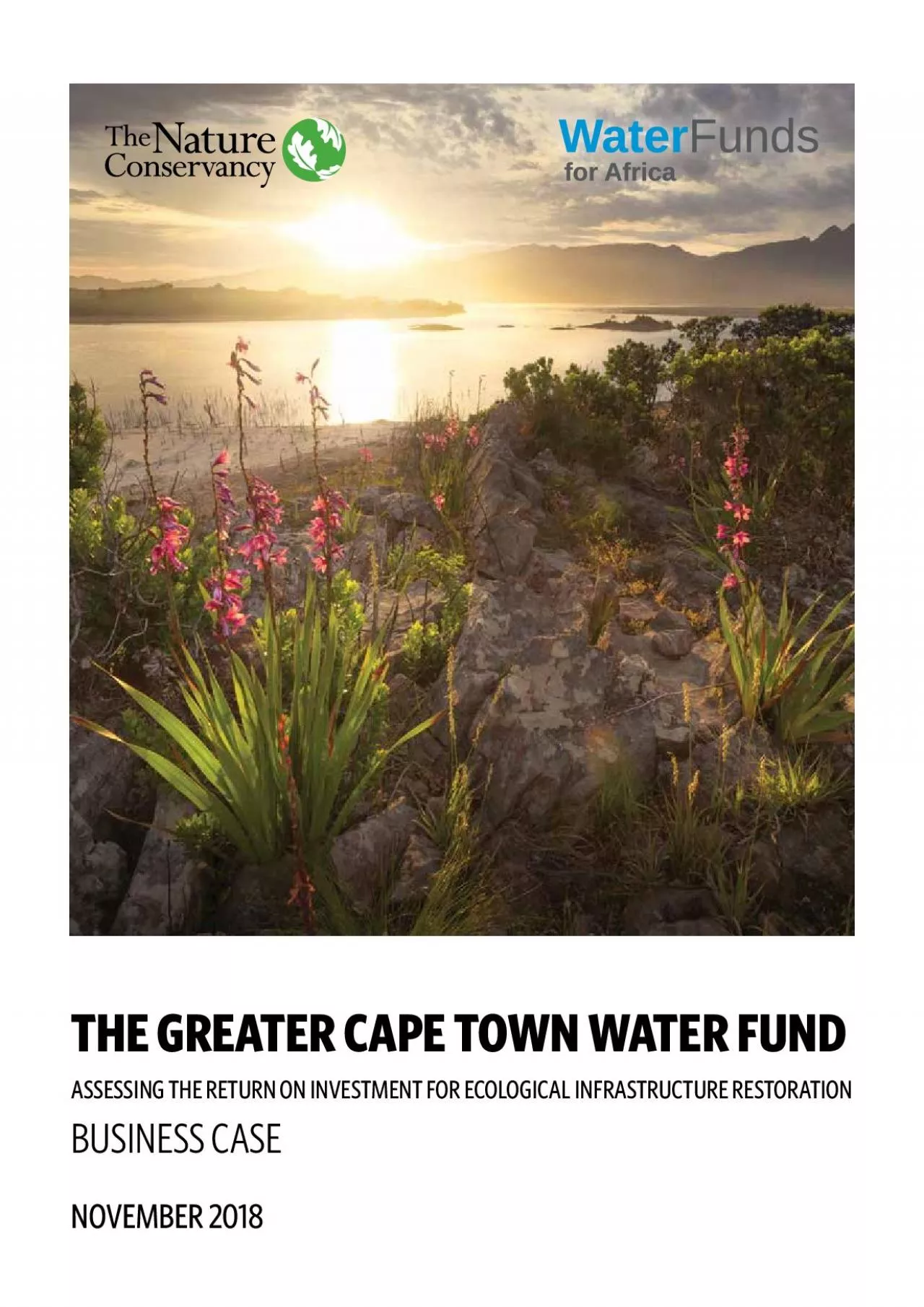 PDF-THE GREATER CAPE TOWN WATER FUND ASSESSING THE RETURN ON INVESTMENT FO