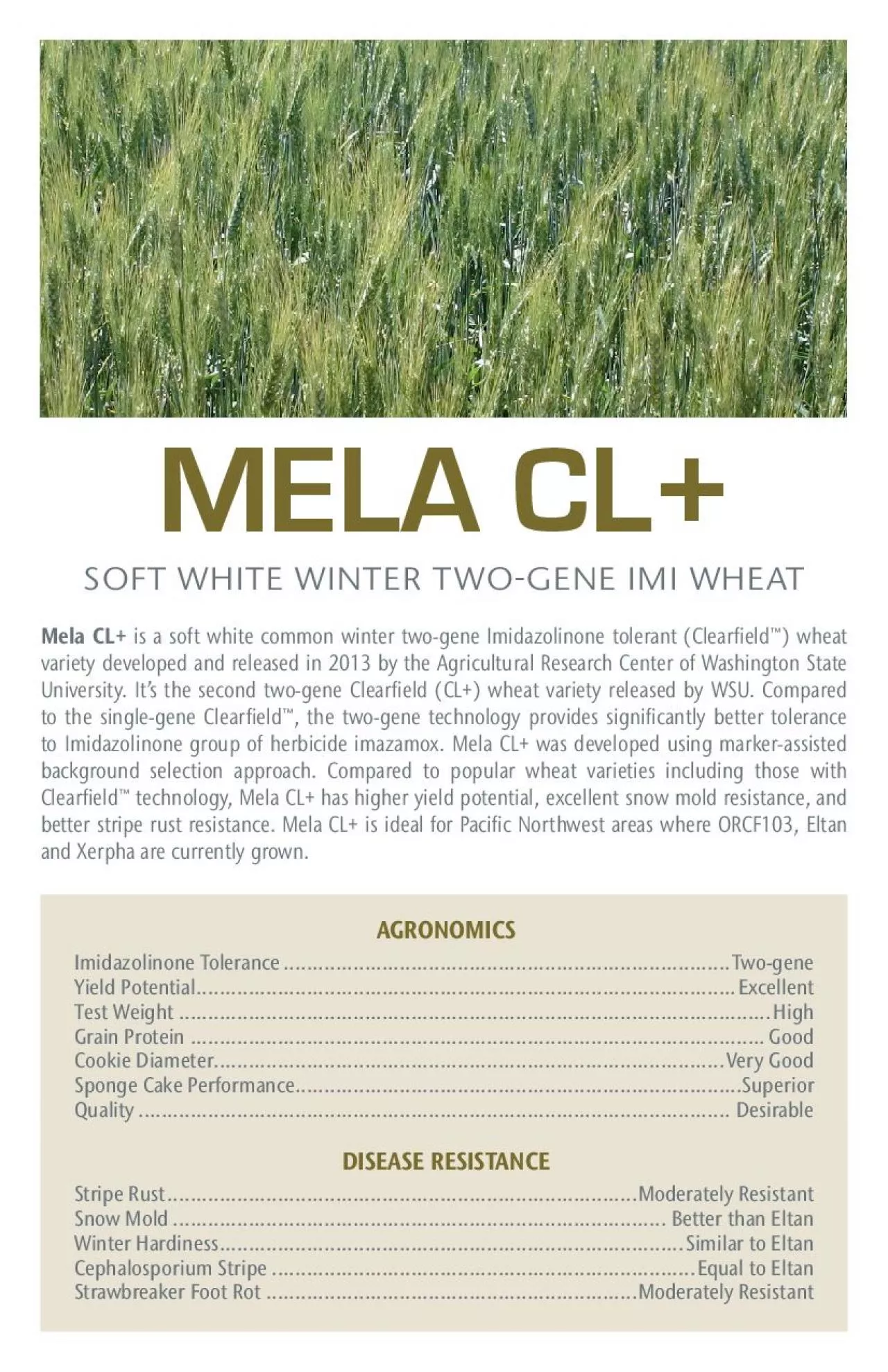 PDF-SOFT WHITE WINTER TWOGENE IMI WHEAT