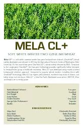 SOFT WHITE WINTER TWOGENE IMI WHEAT