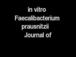 in vitro Faecalibacterium prausnitzii   Journal of