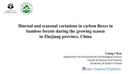 Diurnal and seasonal variations in carbon ﬂuxes