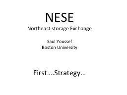NESE Northeast storage Exchange