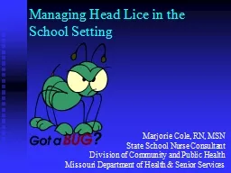 Managing Head Lice in the School Setting