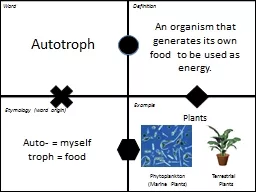 PPT-Autotroph An organism that generates its own food to be used as energy.