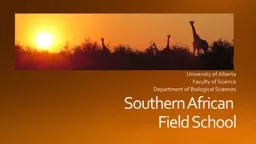 Southern African  Field School