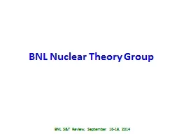 PPT-BNL Nuclear Theory Group