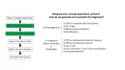 1) PCR on template with two primers