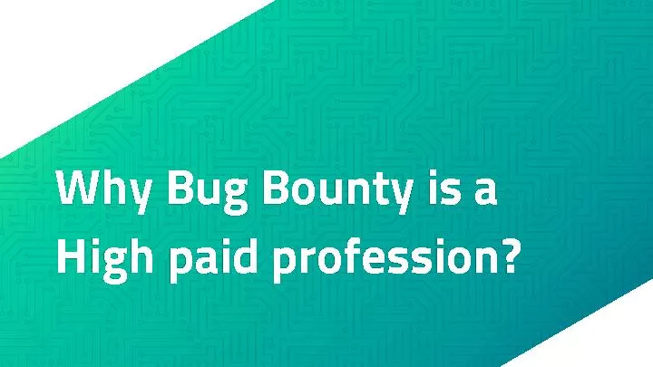 Bug Bounty Hunting