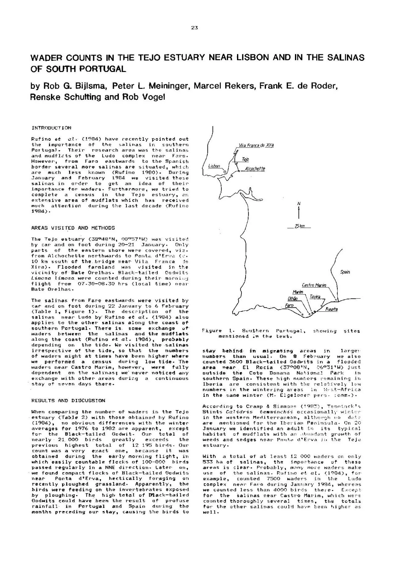 PDF-WADER COUNTS IN THE TEJO ESTUARY NEAR LISBON AND IN THE SALINAS ...