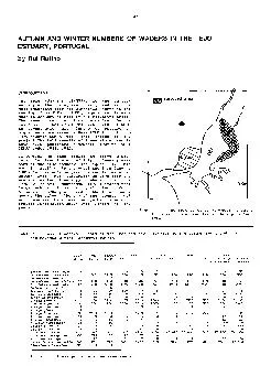 AUTUMN AND WINTER NUMBERS OF WADERS IN THE TEJO