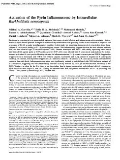 TheJournalofImmunologyActivationofthePyrinInßammasomebyIntracellularB