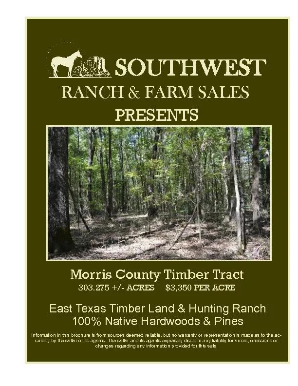 Timber And Hunting Ranches For Sale Morris County Texas