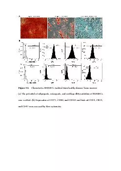 haracteriz