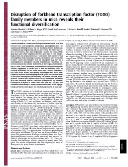 Disruptionofforkheadtranscriptionfactor(FOXO)familymembersinmicereveal