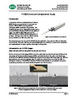 Customer Review Of The F1 BSE Detector