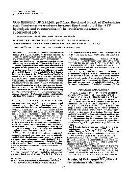 Proc.Natl.Acad.Sci.USAVol.88,pp.8445-8449,October1991BiochemistrySOS-i