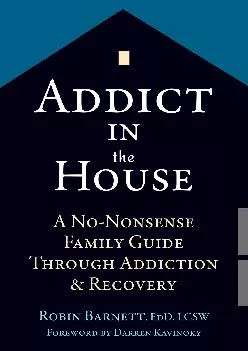 Addict in the House A No Nonsense Family Guide Through Addiction and Recovery