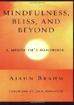 DOWNLOAD  Mindfulness Bliss and Beyond A Meditator s