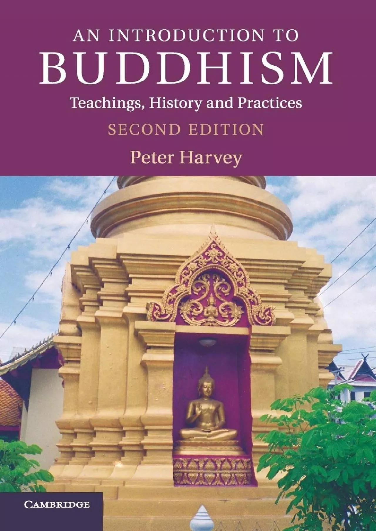 PDF-EBOOK An Introduction to Buddhism Teachings History