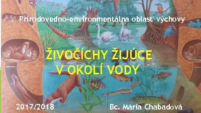 IVOCHY IJCE