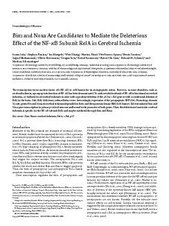 NeurobiologyofDiseaseBimandNoxaAreCandidatestoMediatetheDeleteriousEff