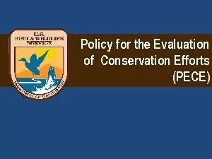 Policy for the Evaluation