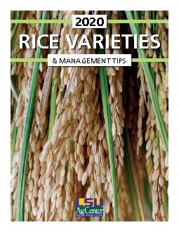 RICE VARIETIES