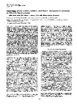 ProcNatlAcadSciUSAVol90pp81698173September1993BiochemistryTar