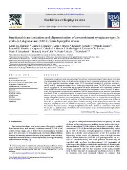 Functionalcharacterizationandoligomerizationofarecombinantxyloglucans