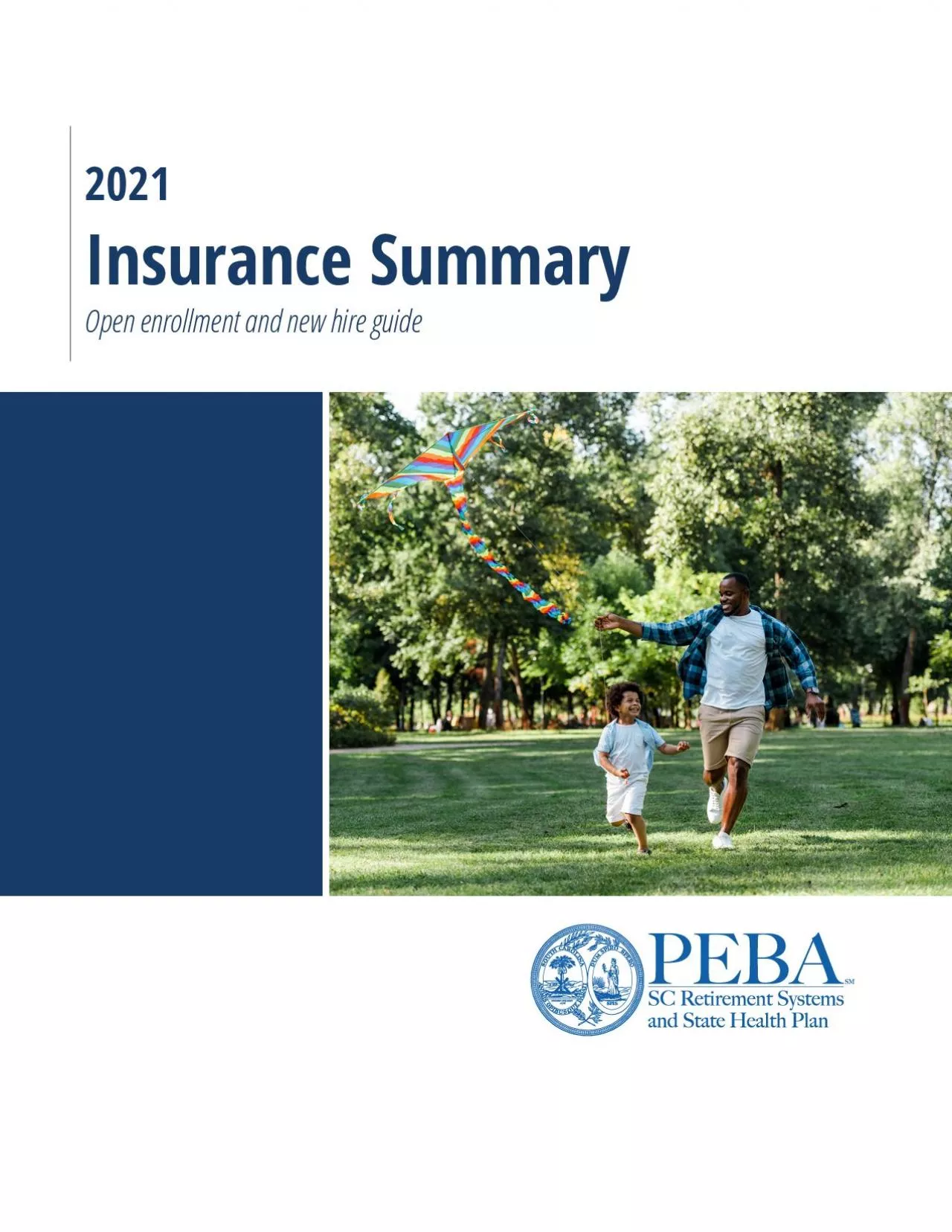 PDF-2021 Insurance Summary