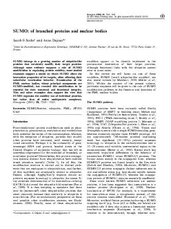 SUMOofbranchedproteinsandnuclearbodiesJacobSSeeler1andAnneDejean11