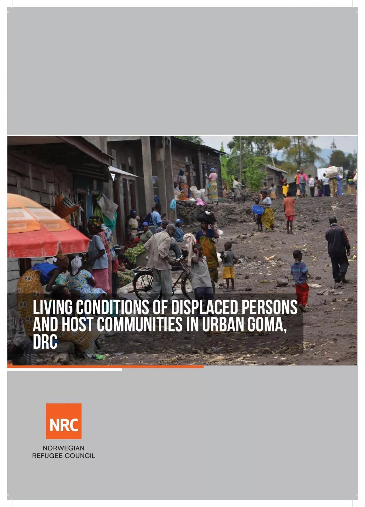 PDF-Living Conditions of displaced persons