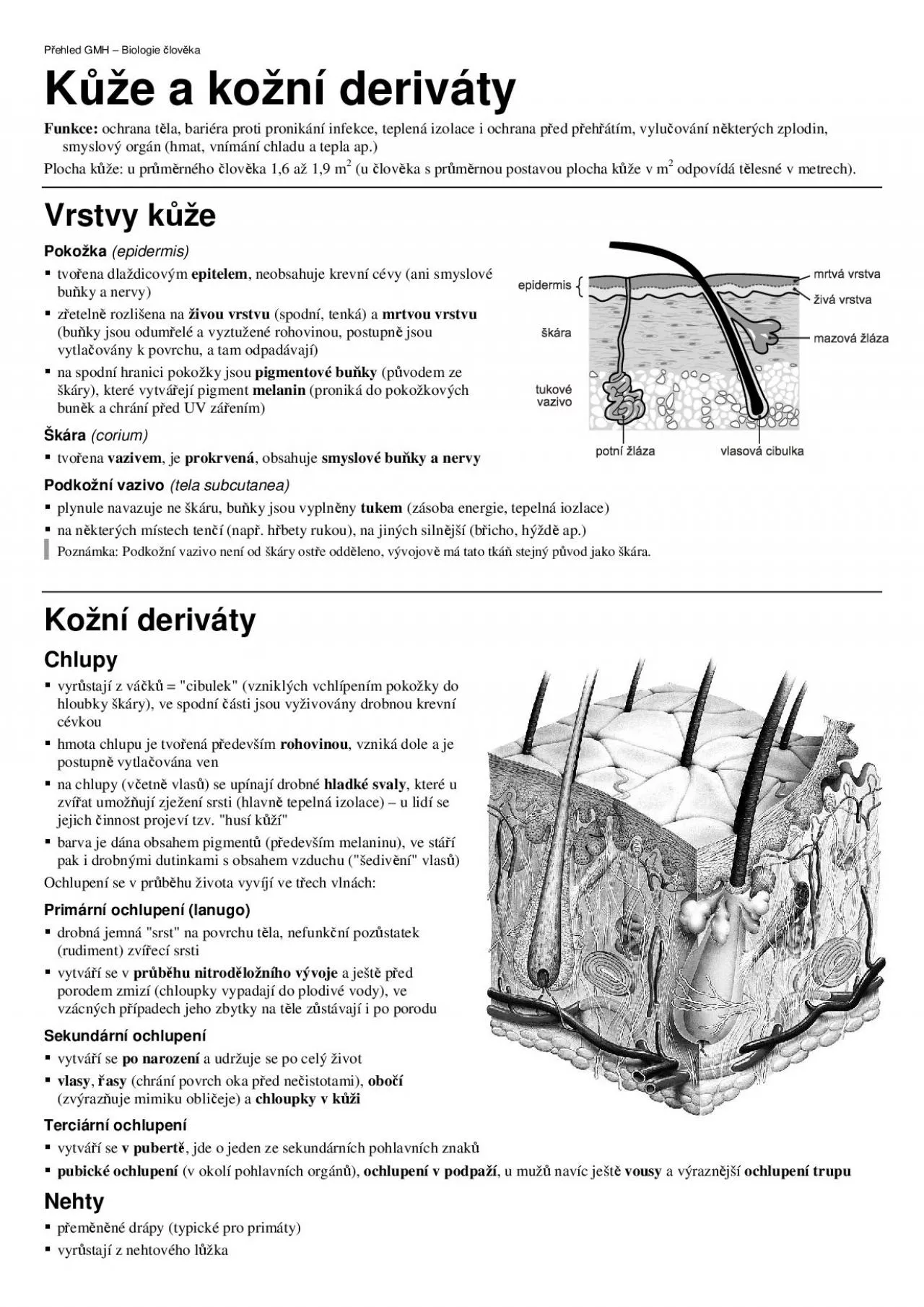 PDF-ehled GMH Biologie lovka e a kon derivtyFunkce ochrana tla bar