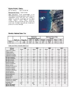 PDF-Management Status