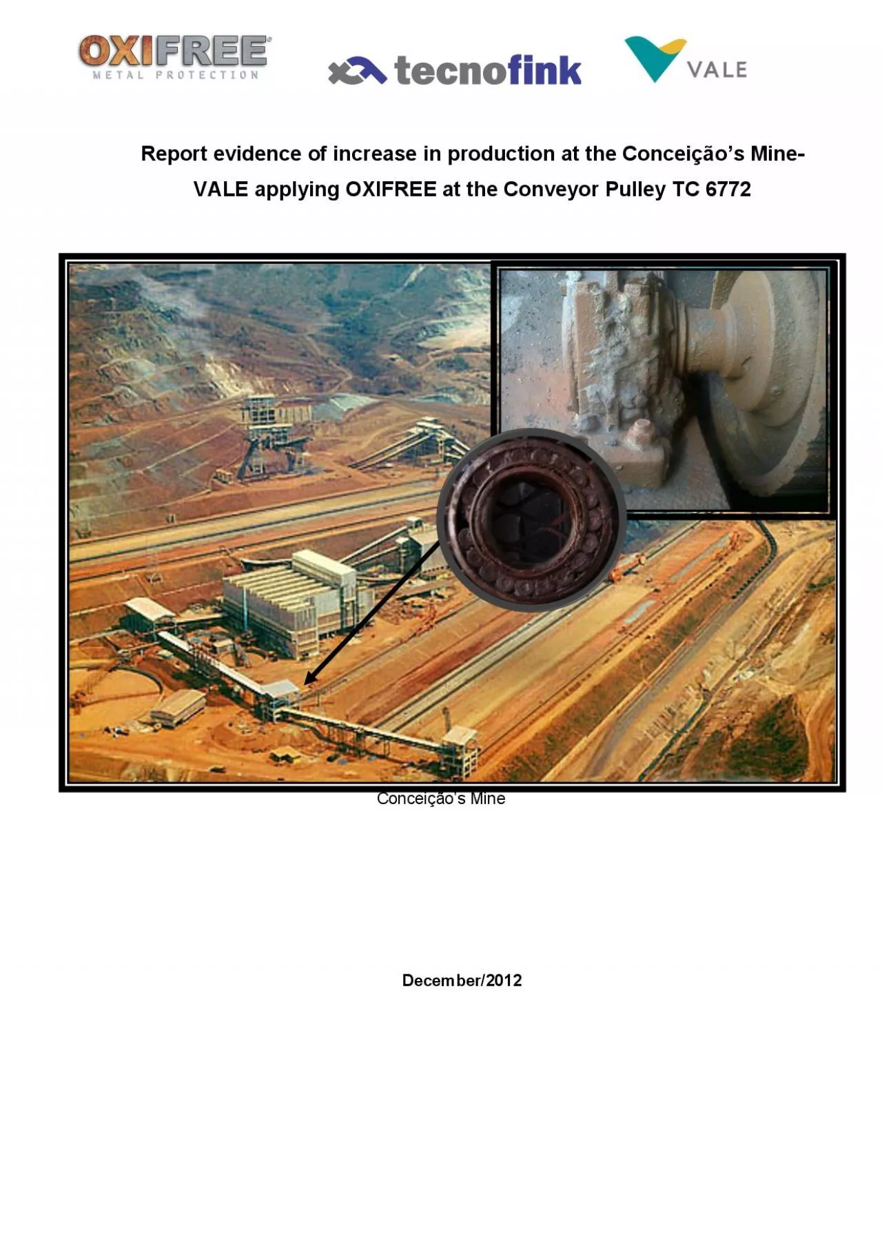 PDF-Conceios Mine VALE applying OXIFREE at the Conveyor Pulley TC 6772