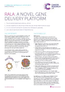 Novel peptide based gene delivery vehicle   Proven capability for deli