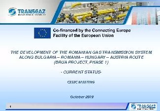 THE DEVELOPMENT OF THE ROMANIAN GAS TRANSMISSION SYSTEM ALONG BULGARIA