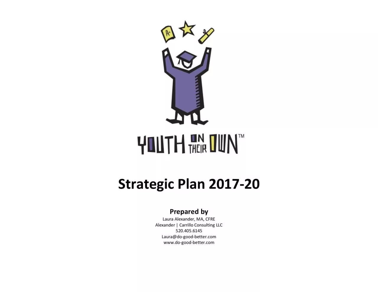 PDF-Strategic Plan 2017