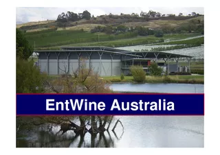 EntWine Australia  EntWine Australia Wine industrys vo